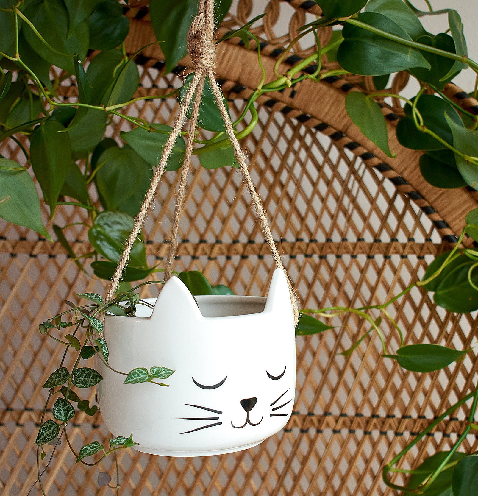Hanging planter in the shape of a cat face 