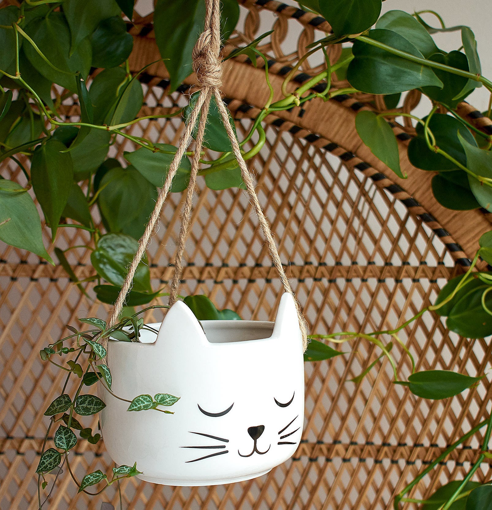 Hanging planter in the shape of a cat face 