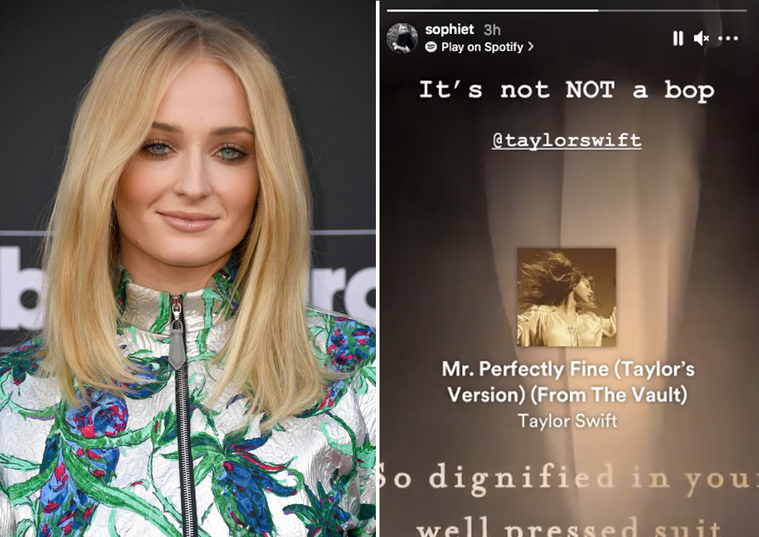 Taylor Swift Bent Over Porn - Sophie Turner Shared Taylor Swift's New Song That's Supposedly About Joe  Jonas