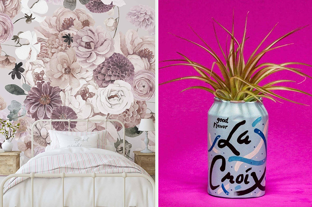 floral wallpaper and a La Croix succulent planter
