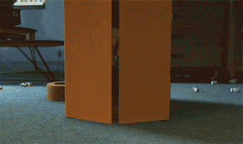 a gif of woody from toy story coming out of a box