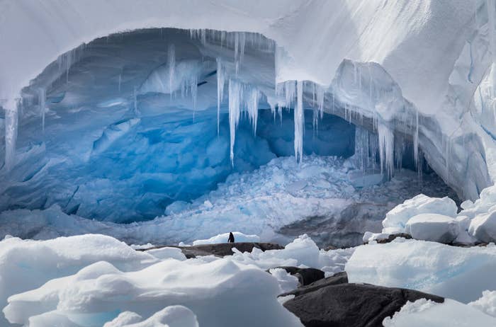 the South Pole