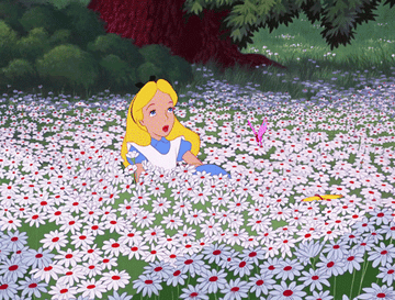 Alice from &quot;Alice in Wonderland&quot; laying down in a bed of flowers