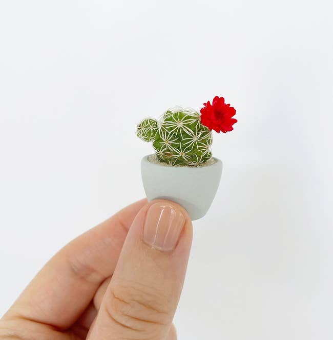 a hand holding the tiny gray pot with a flowering cactus inside