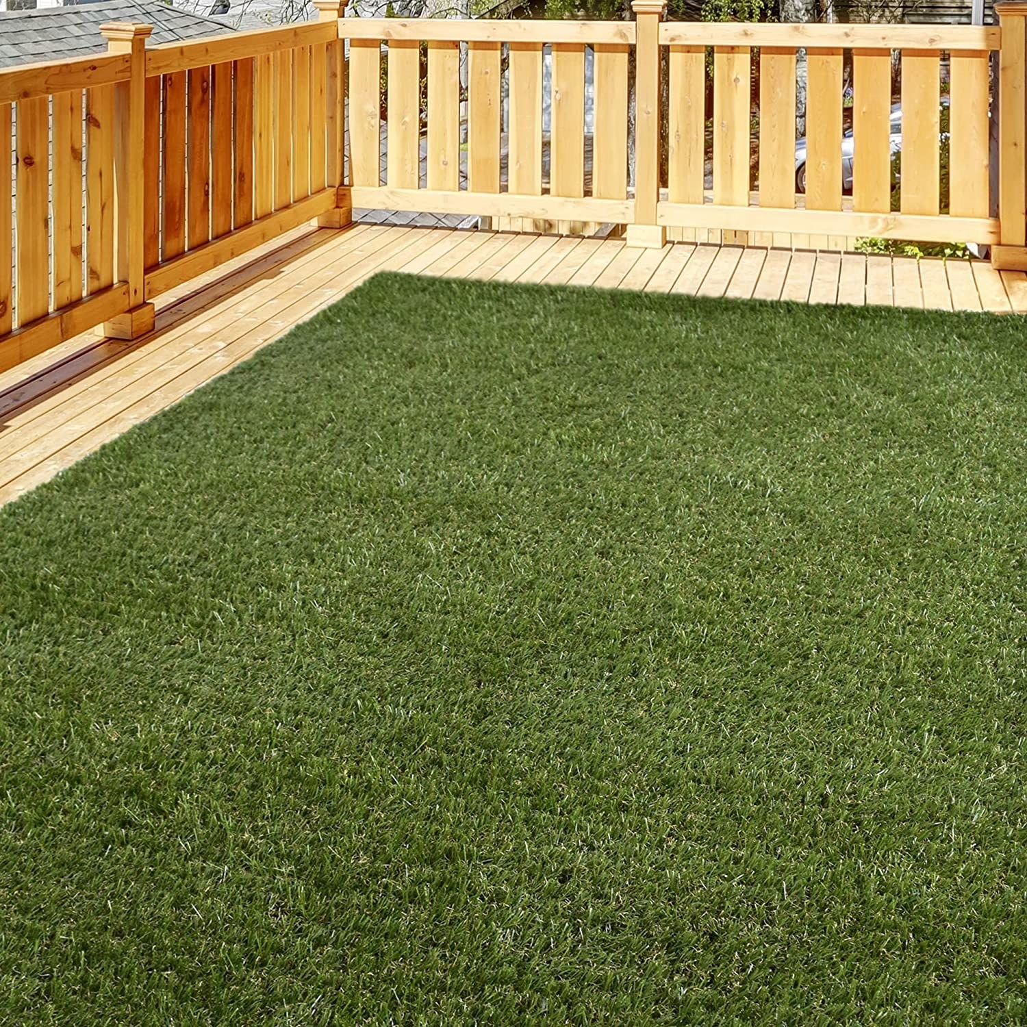 the grass on a deck