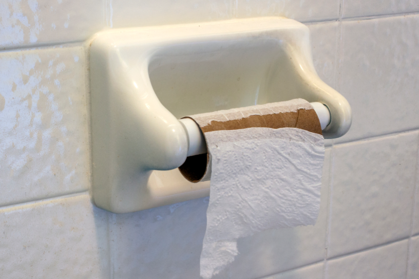 Empty toilet paper roll 