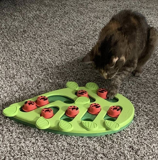 a feline uncovering a dainty from the puzzle board