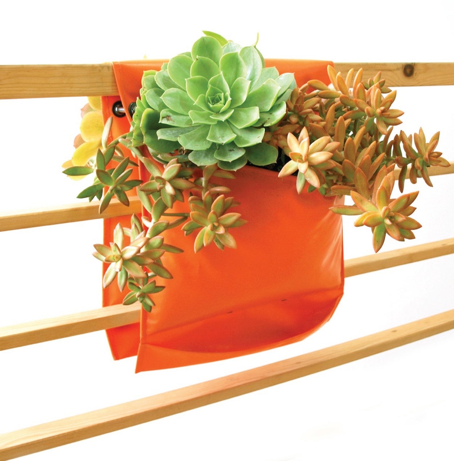 the saddle planter on the rails with a plant in it