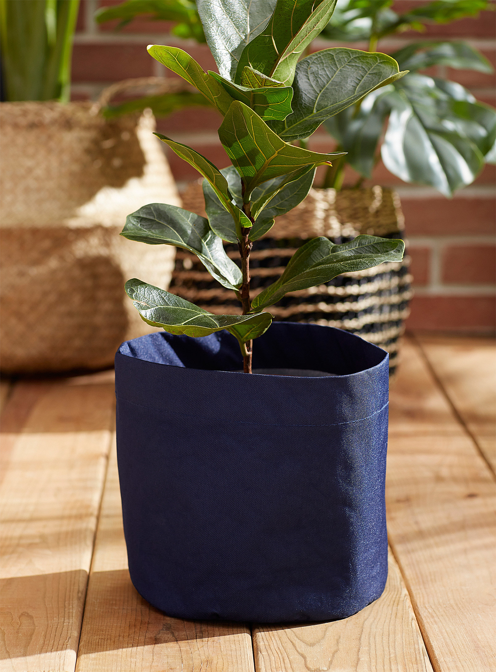 a plant in the planter