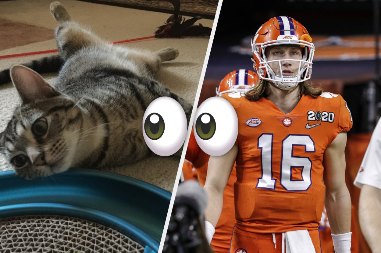 My cat Kassie and Trevor Lawrence