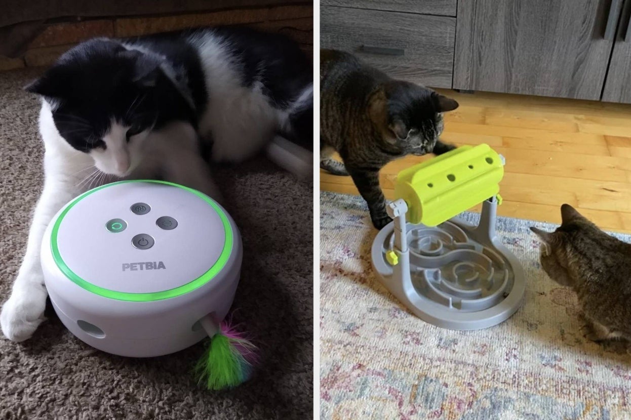 three cats playing with interactive cat toys