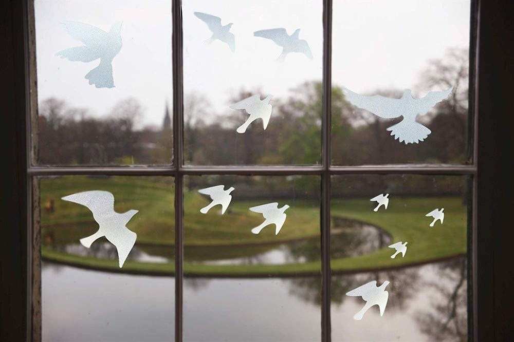 Semi-transparent bird-shaped stickers stuck onto windows