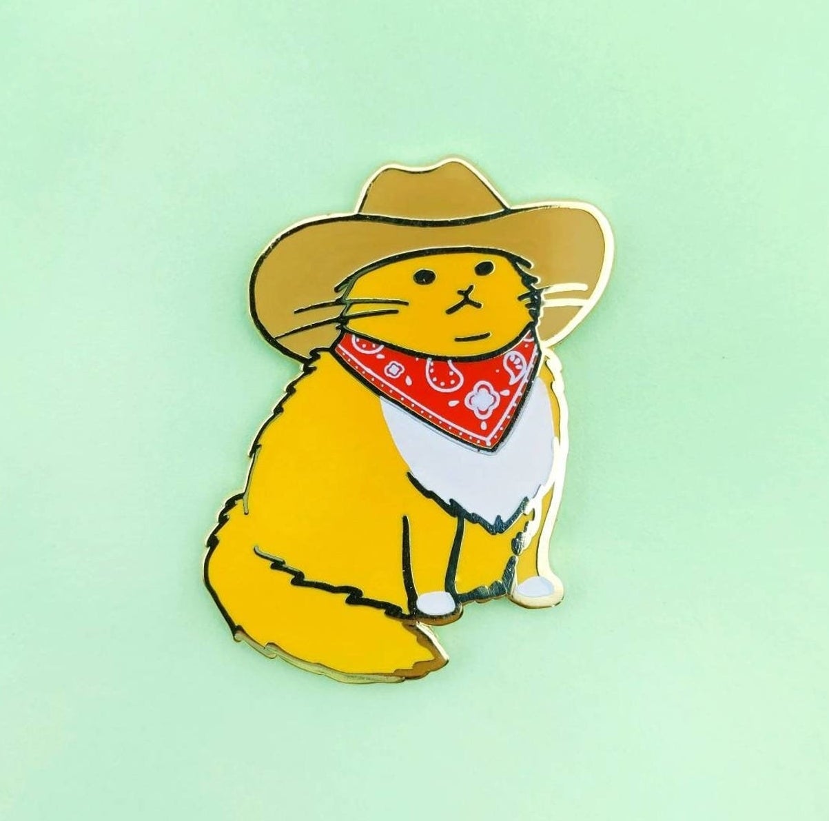 a cowboy cat pin