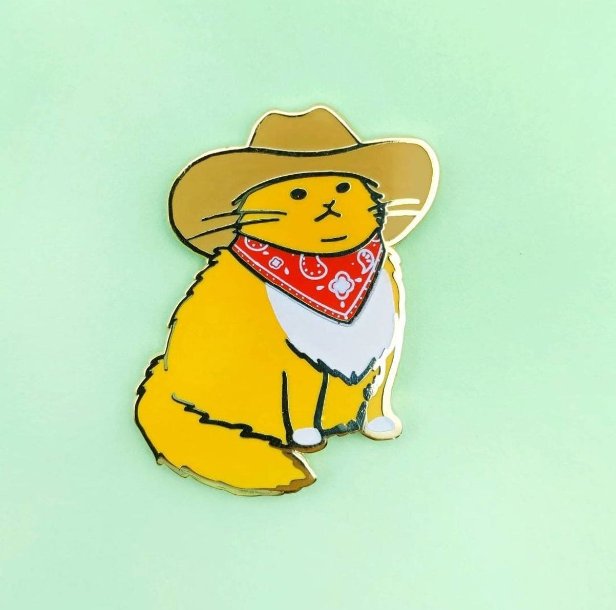 a cowboy cat pin