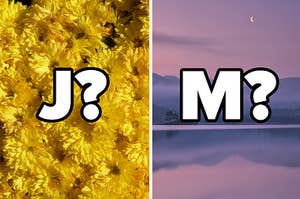 "J?" over yellow flowers and "M?" over a purple sunset