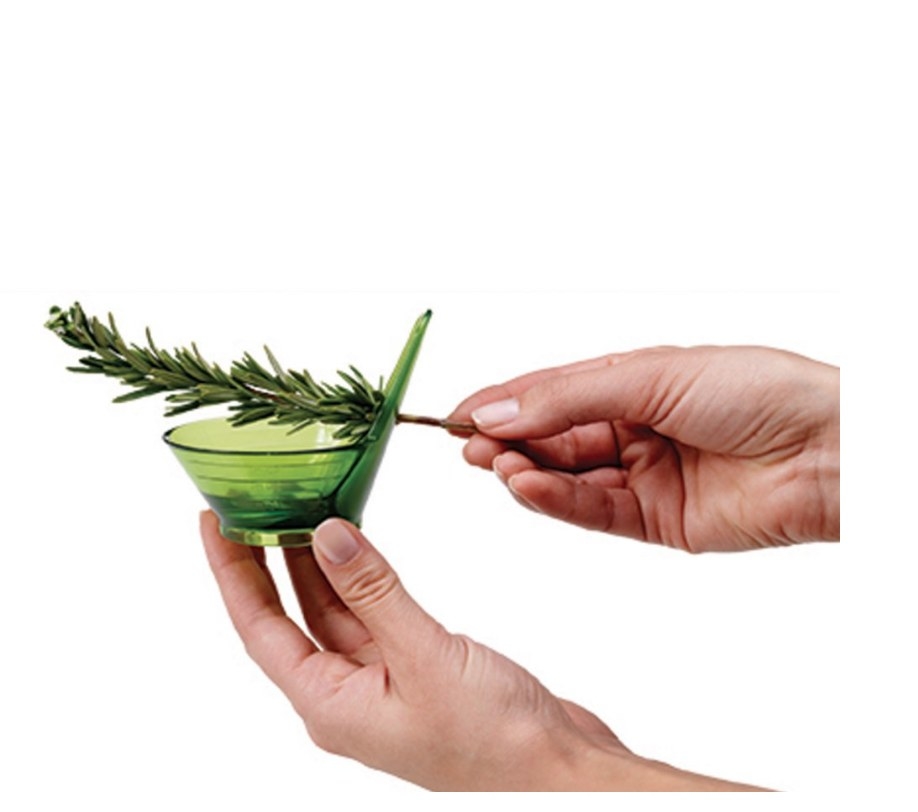 A model using a herb stripped to remove the leaves off a piece of tarragon 
