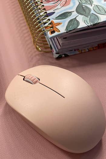 a different reviewer's pink mouse