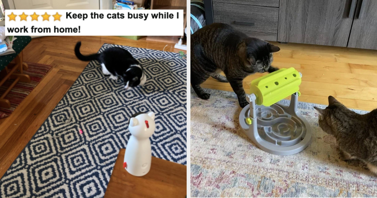 DIY Puzzle Feeders Help Bring Out TheTrue Nature of Cats - The