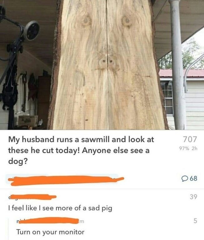person who says this wood looks like a dog; anyone else see it? and someone says I feel like I see more of a sad pig, and someone says turn on your monitor