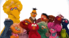 Sesame Street gang. 