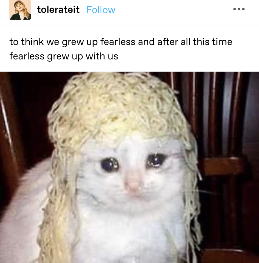 &quot;to think we grew up fearless and after all this time fearless grew up with us&quot; with a picture of a crying cat