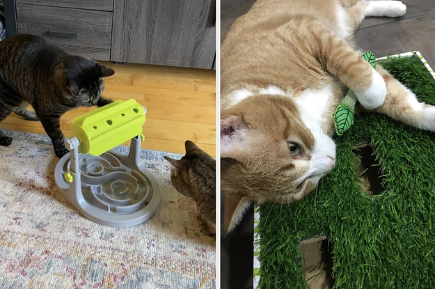 17 Puzzles On Amazon That Reviewers Say Actually Challenge Their Cats