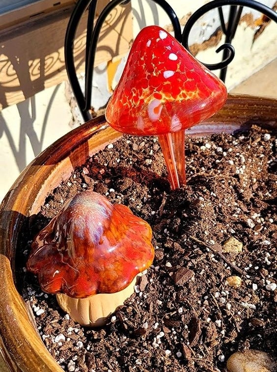 Reviewer&#x27;s picture of the mushroom-shaped watering globes in a potted plant 