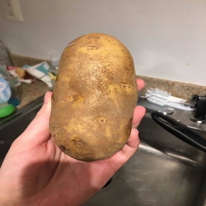 A potato before being cleaned with the brush