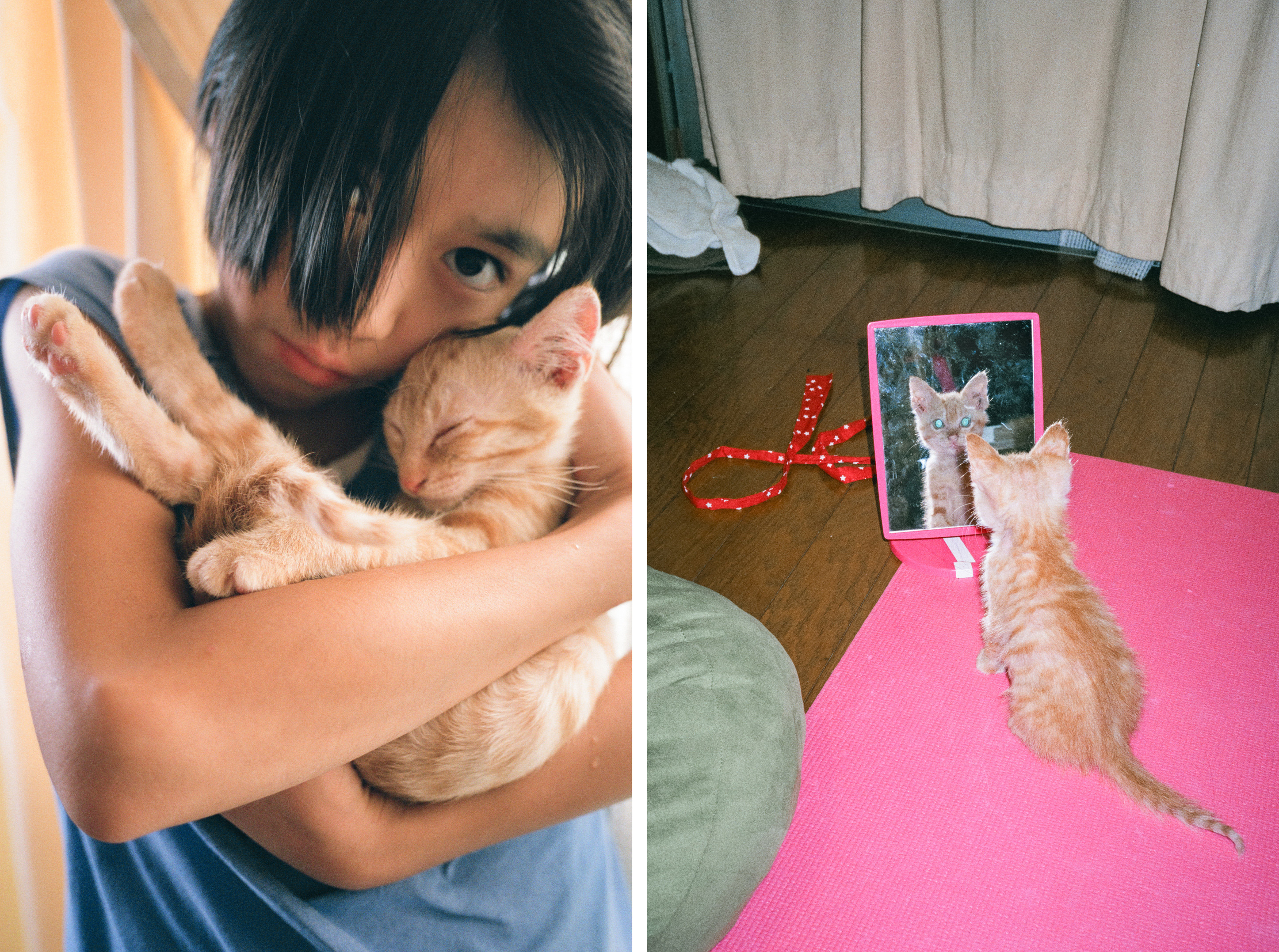 The photographer&#x27;s daughter with a cat on the left, and the cat staring in a mirror on the right