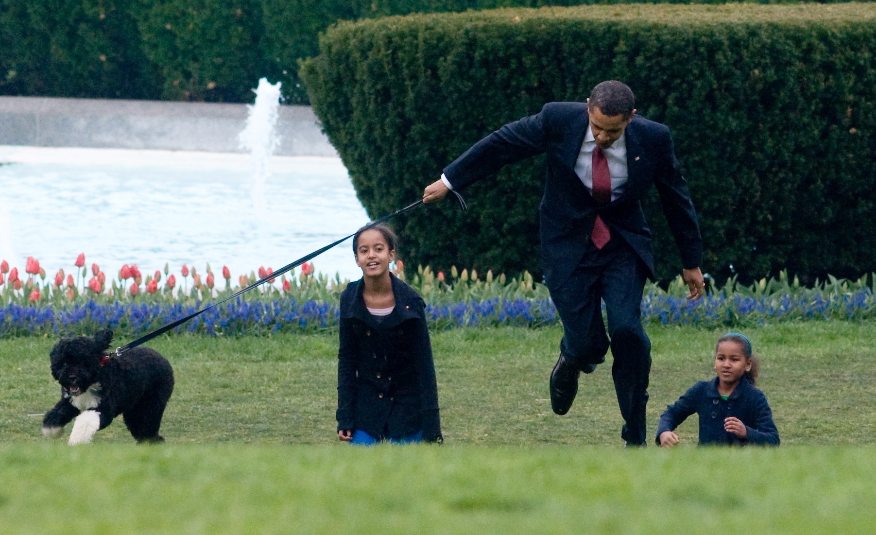 Bo pulling on his leash as President Obama tries to hold on