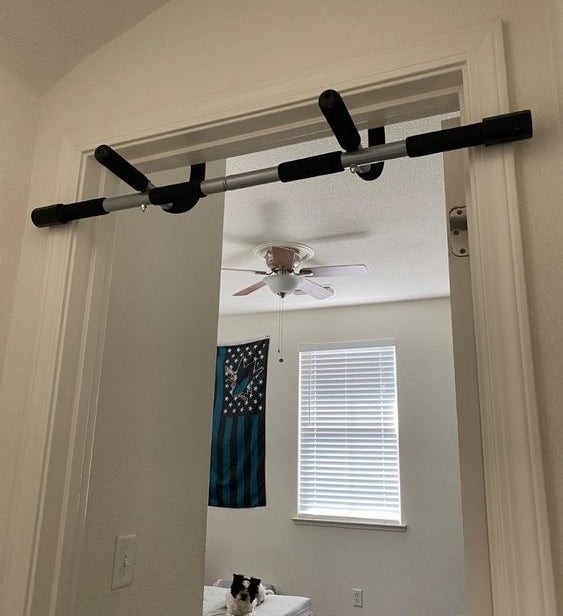 Reviewer&#x27;s picture of the pull up bar