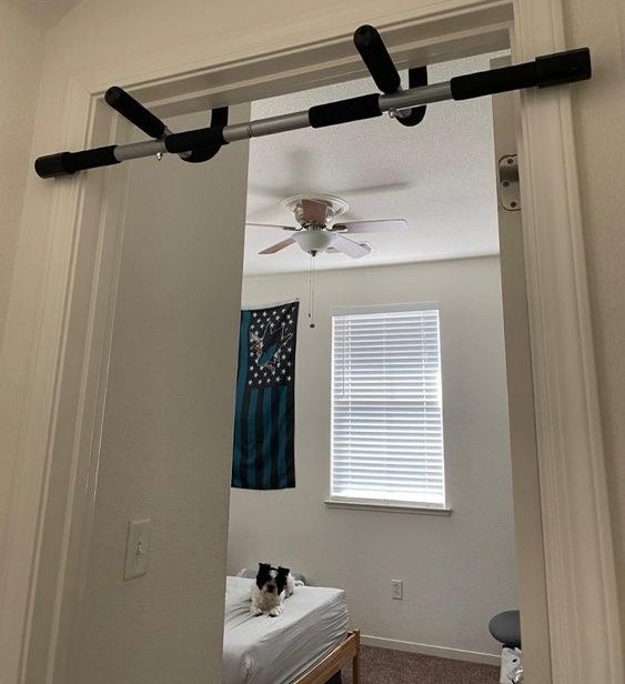 Reviewer&#x27;s picture of the pull up bar