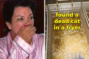 Shocked Kris Jenner, and a fryer labeled "found a dead cat in a fryer"