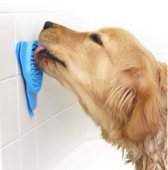 A Golden Retriever licking peanut butter off the treat-dispensing lick mat in the tub