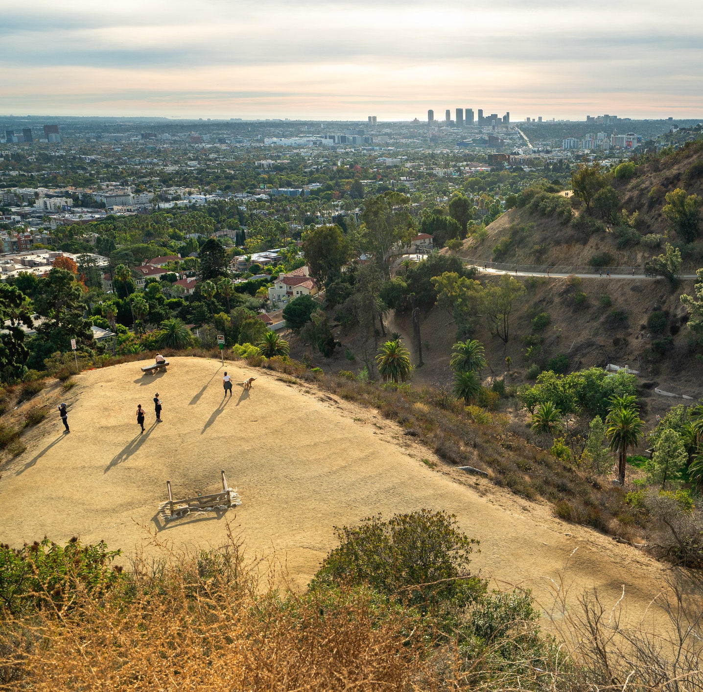 aerial shot of a hiking trail leading to the top of a hill, surrounded by lush trees and overlooking the LA city skyline