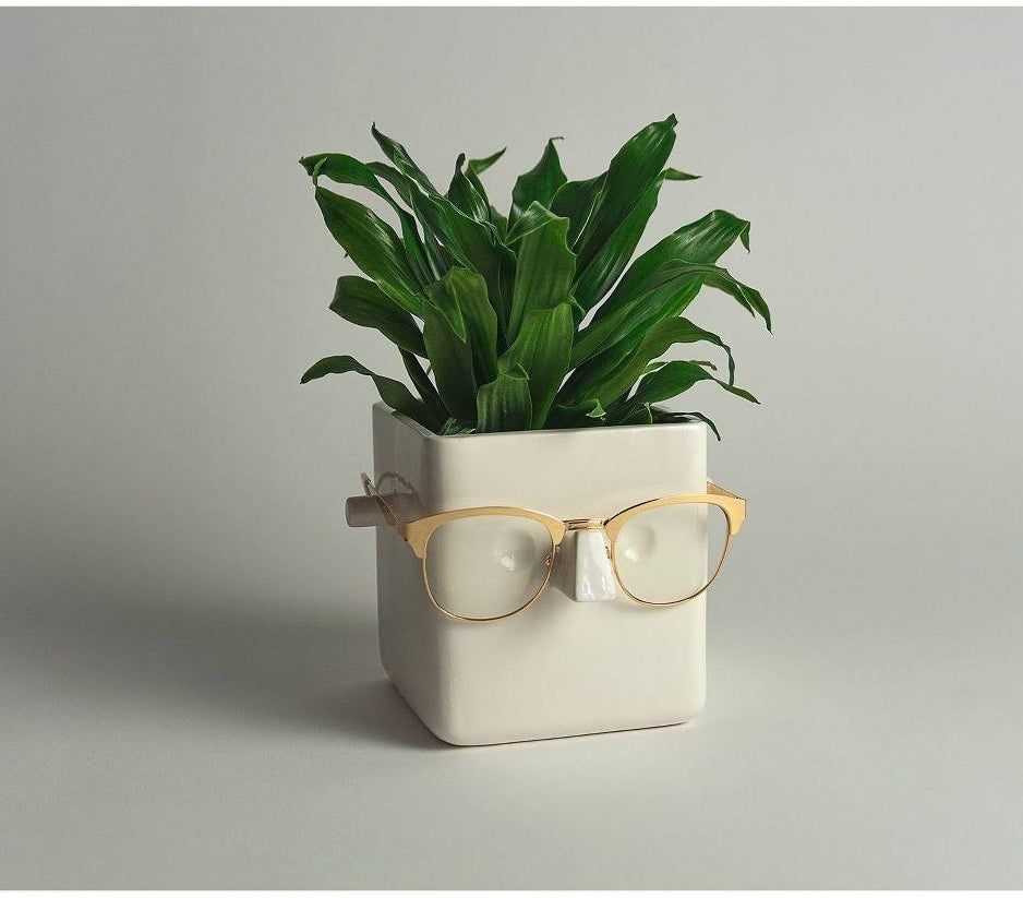 white ceramic square plant holder with built in eyes, ears and nose, holding a pair of glasses