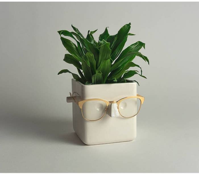 white ceramic square plant holder with built in eyes, ears and nose, holding a pair of glasses