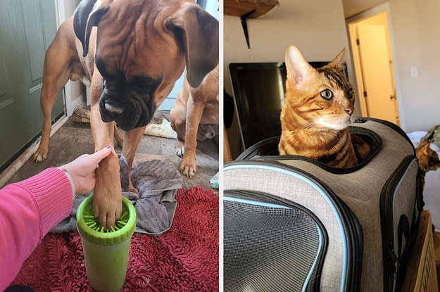 29 Things That'll Solve Such Age-Old Pet Owner Problems, Even Your Pet Will Be Impressed