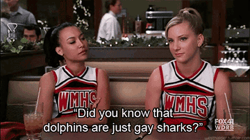 Brittany saying to Santana &quot;did you know that dolphins are just gay sharks?&quot;