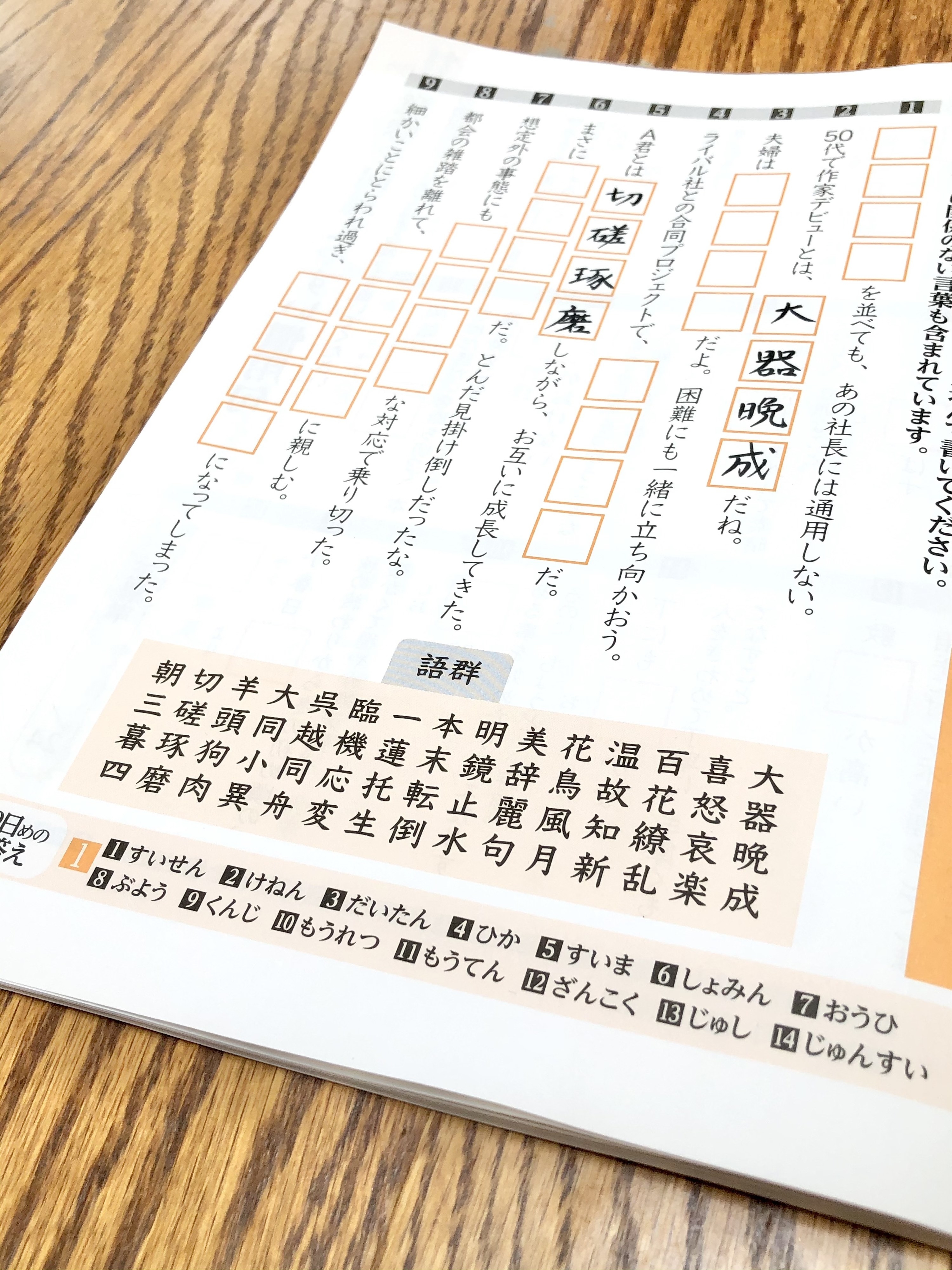 DAISO（ダイソー）のおすすめの本「大人のいきいき脳ドリル 漢字・語句」大人も子供も楽しめる