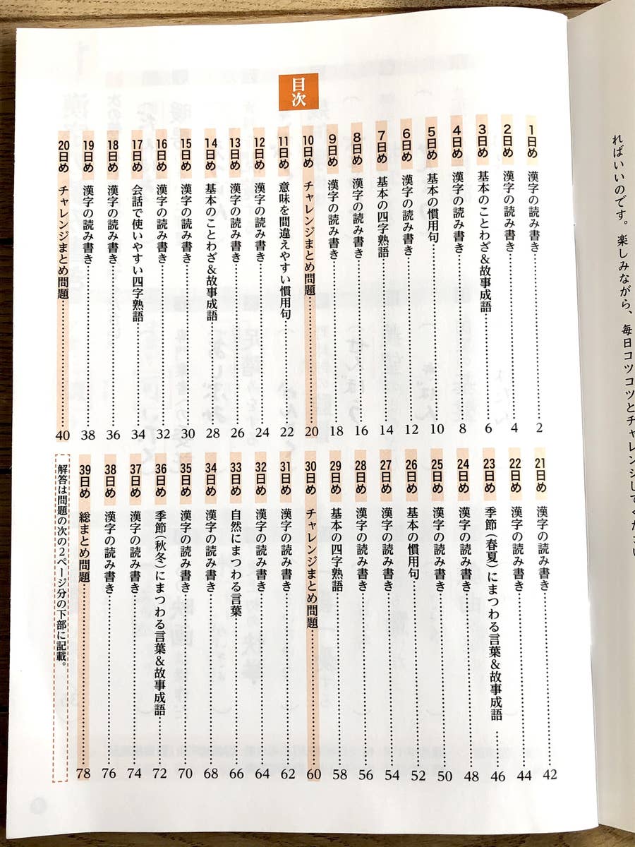 これで110円 ダイソーの 漢字ドリル が大人もハマる名作本だった