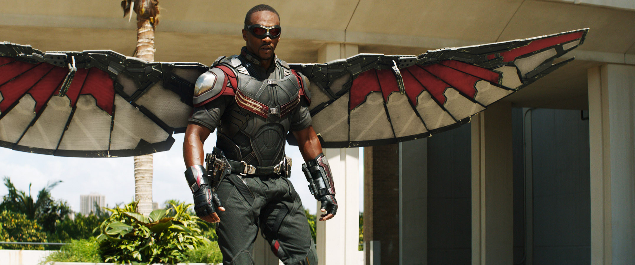 Anthony Mackie as Falcon