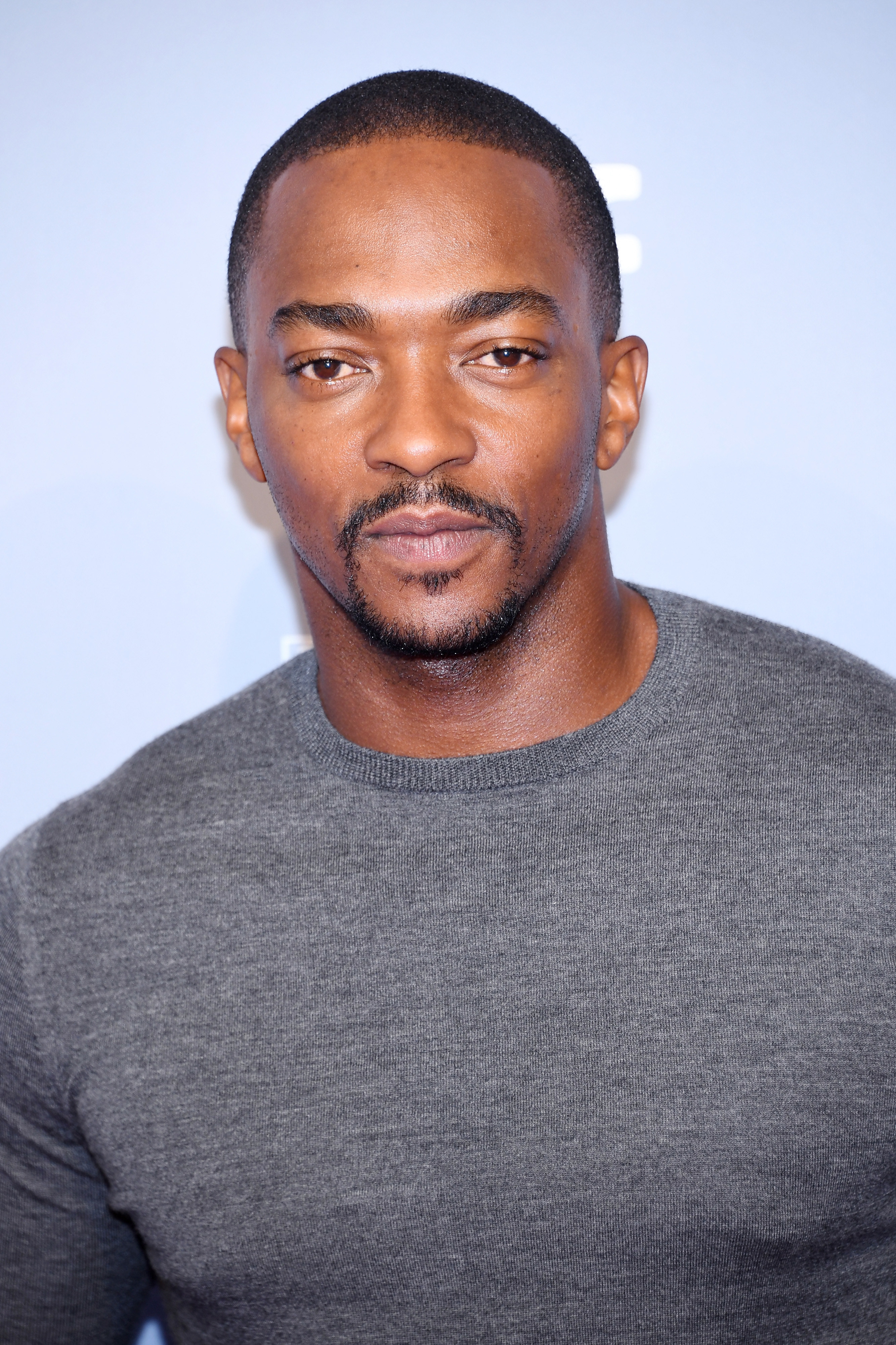 Anthony Mackie on the red carpet