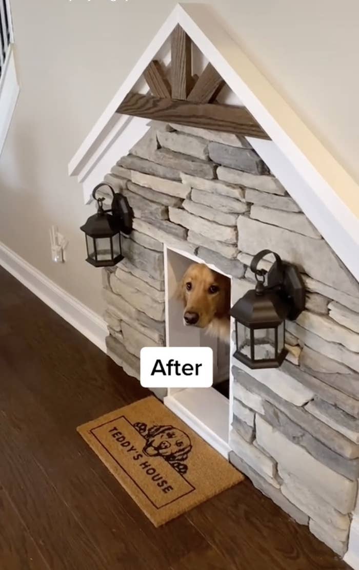 Teddy standing in the doorway of his home which has a welcome mat that says &quot;Teddy&#x27;s House&quot;