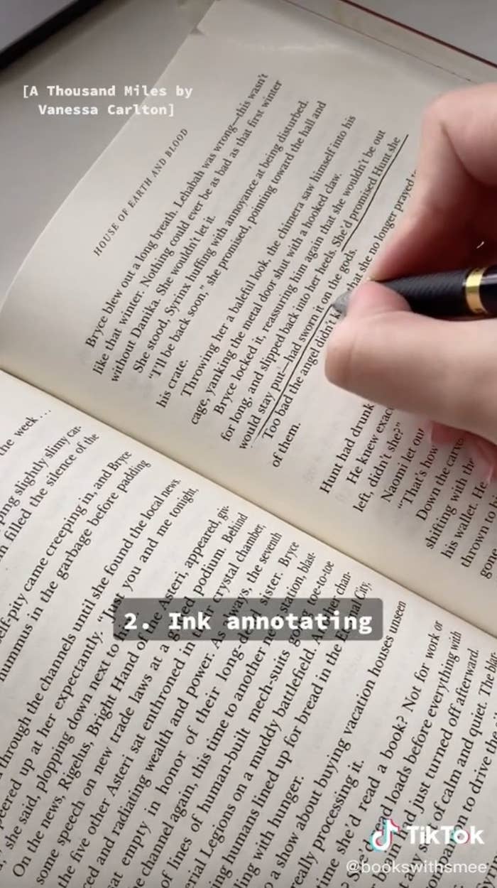 TikTok of annotating book