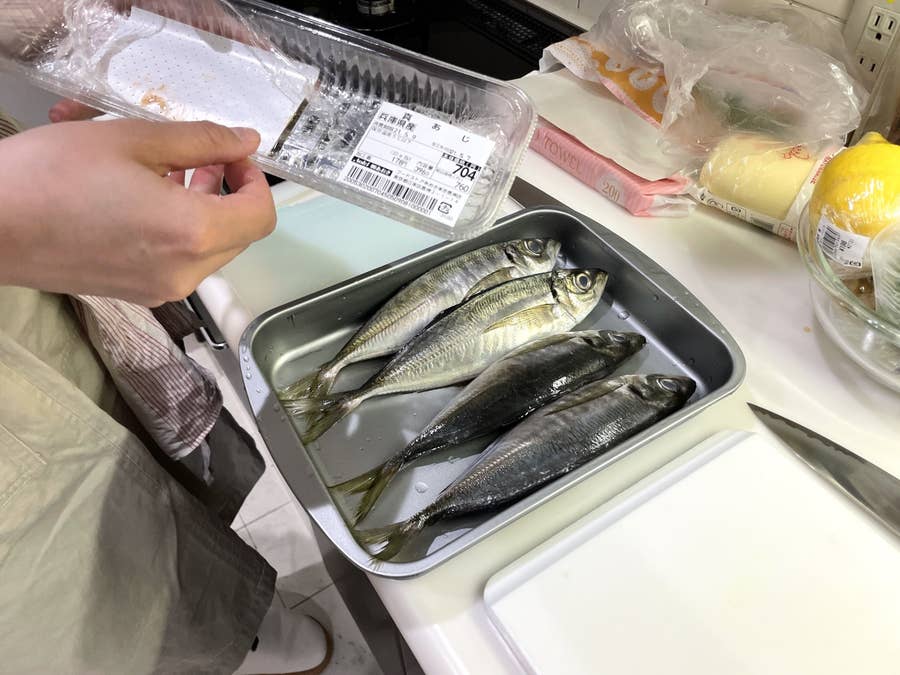 料理初心者がアジを三枚おろしにしてアジフライとなめろうをつくってみた