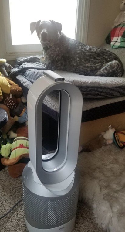a reviewer showing their dog sitting next to the air purifier 