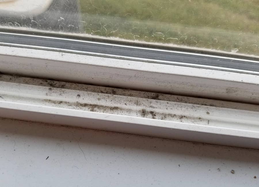 How the hell do I clean these filthy old window sills/casings