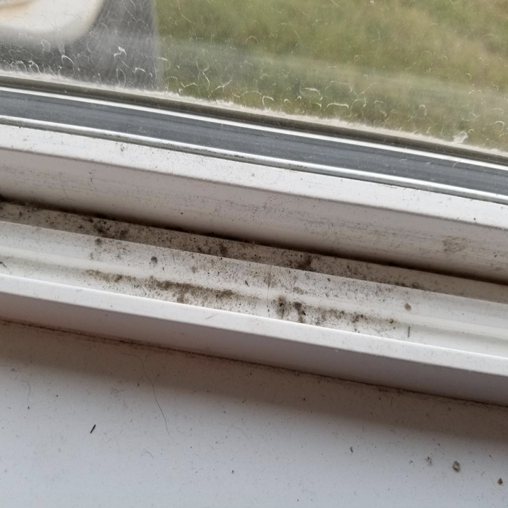 reviewers window sill before cleaning