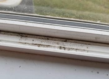 reviewers window sill before cleaning